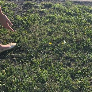 Meet your Posher, Leanne